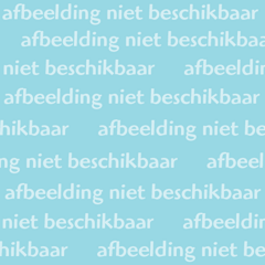 Pieter de Hooghstraat 11