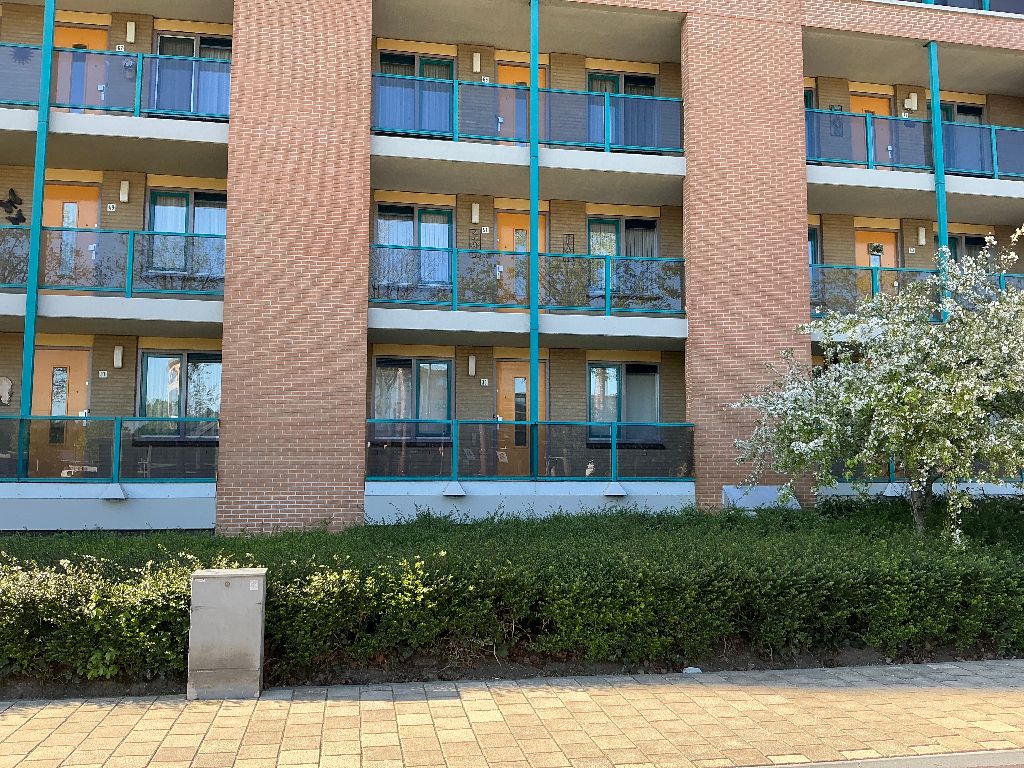 homes for rent on Tweeschaar 33