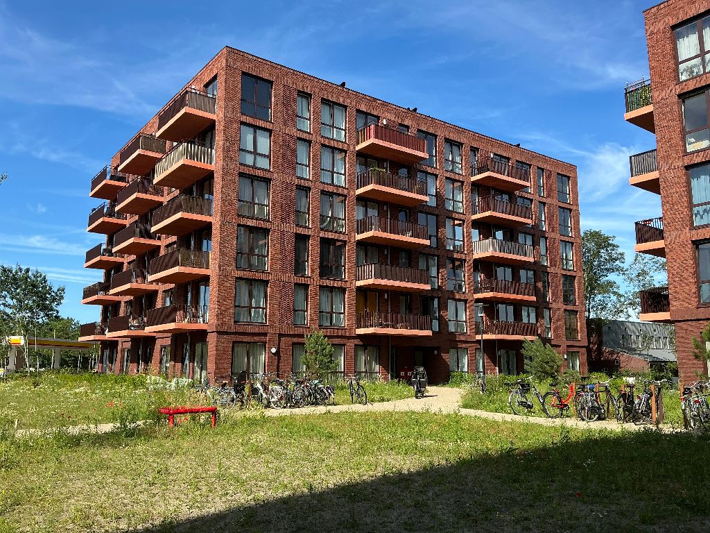 apartments for rent on Cosunpark 113