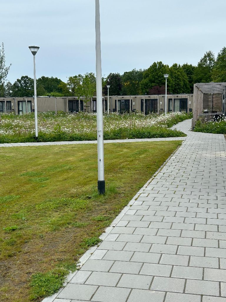 Veldbloemenhof 39