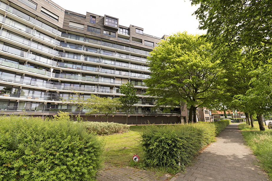 Zorgvlietstraat 115