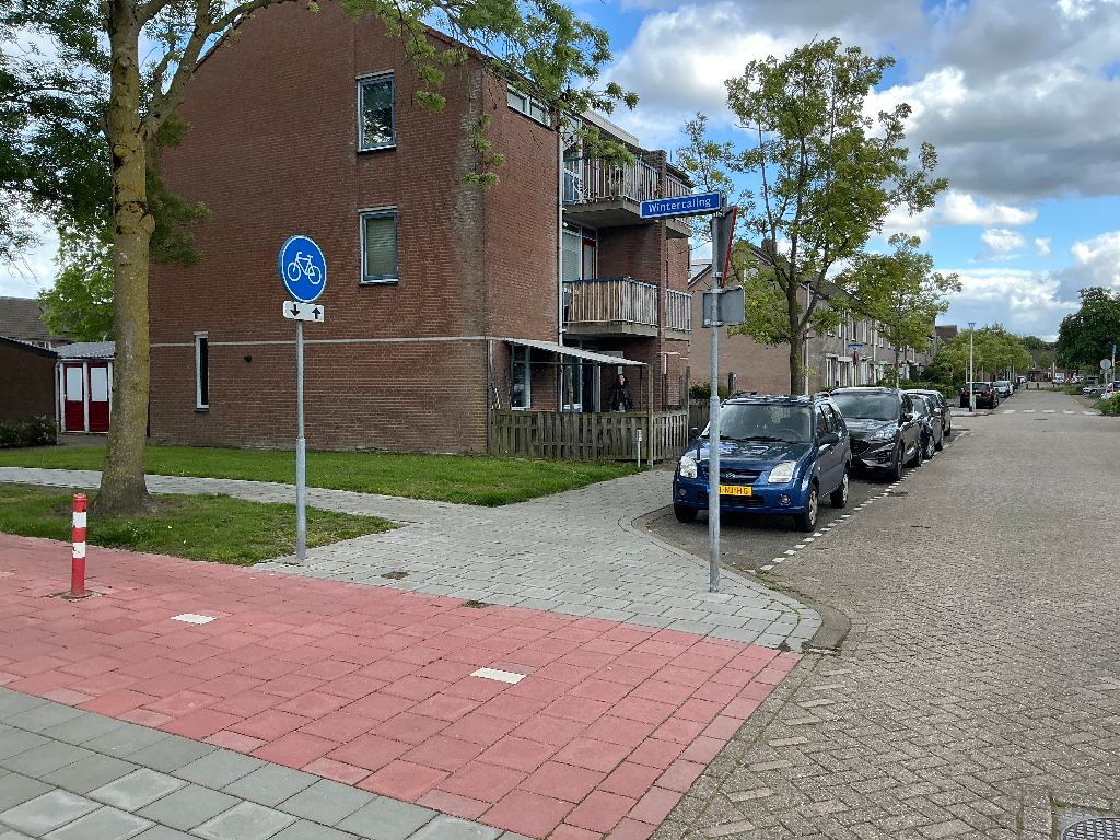 Meerkoet 2