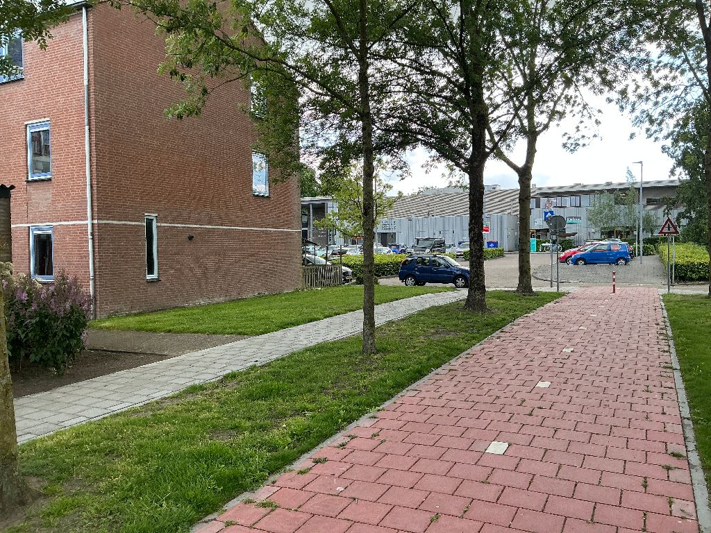Meerkoet 2