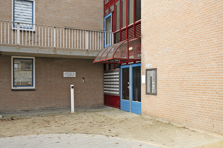 Bertelsberg 40