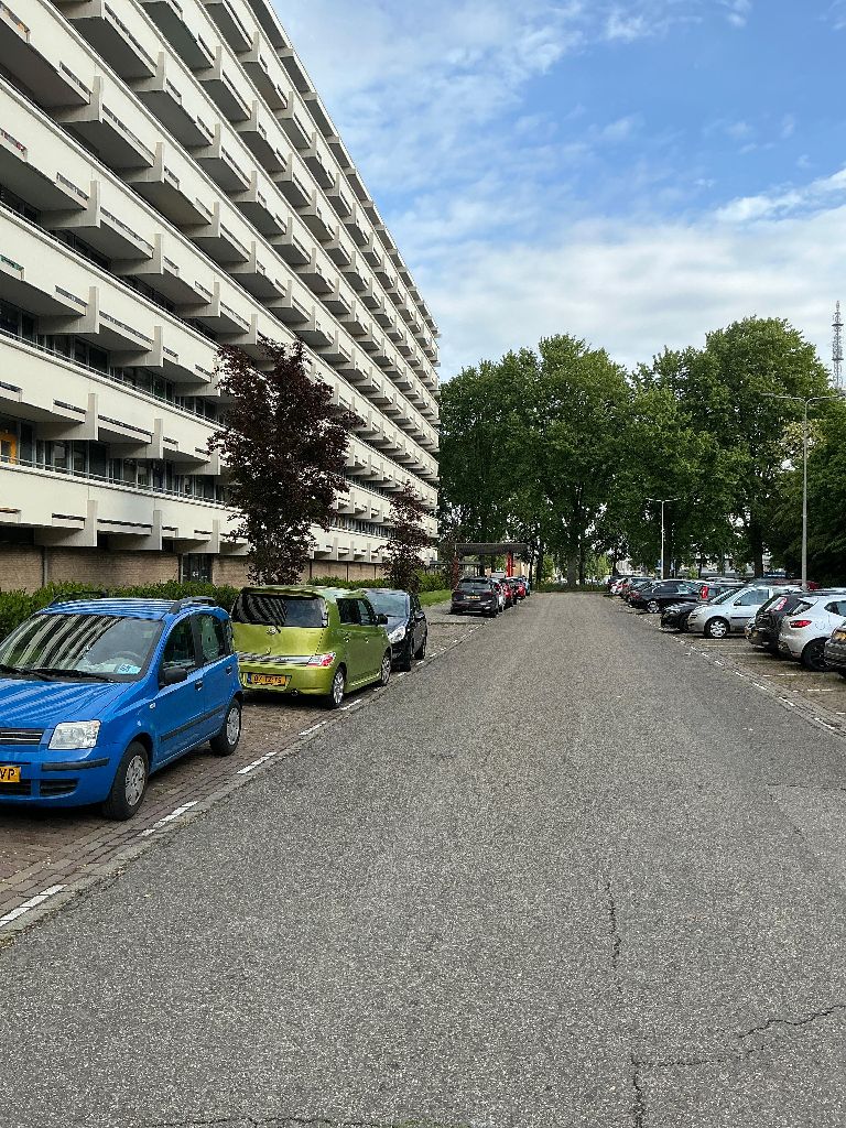 Tollensflat 40