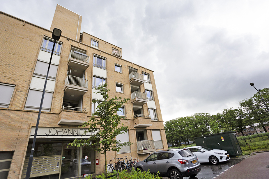 Pieter Vreedestraat 111