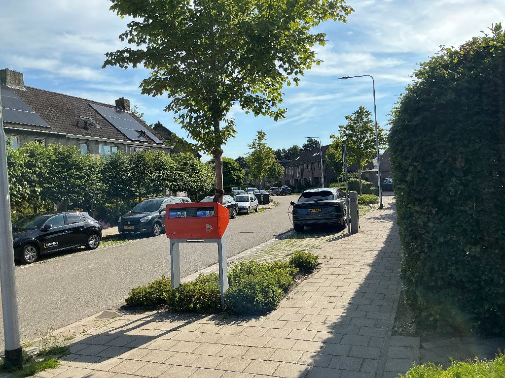 Wildbaan 25