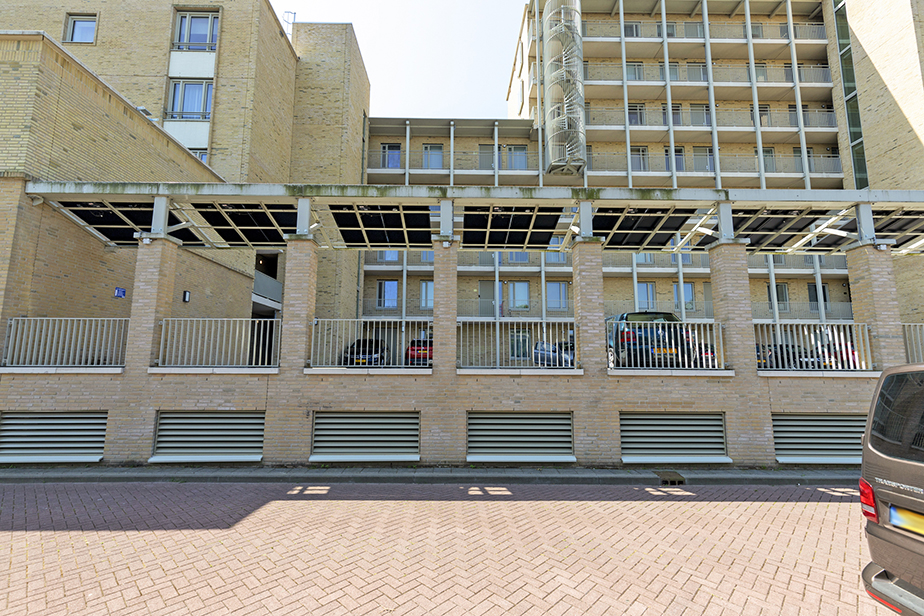 Pieter Vreedestraat 91