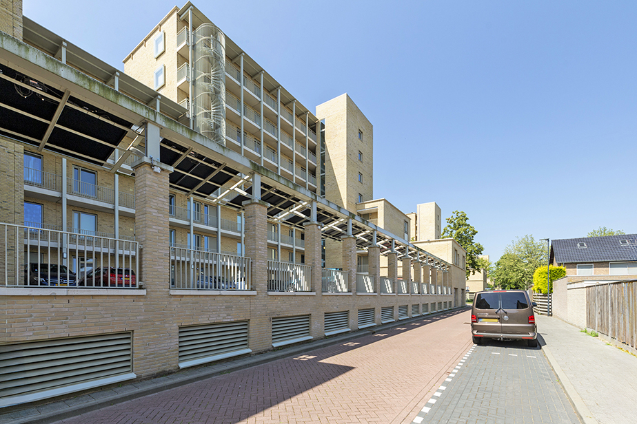 Pieter Vreedestraat 91