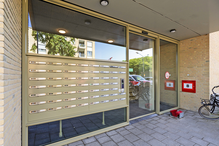Pieter Vreedestraat 91