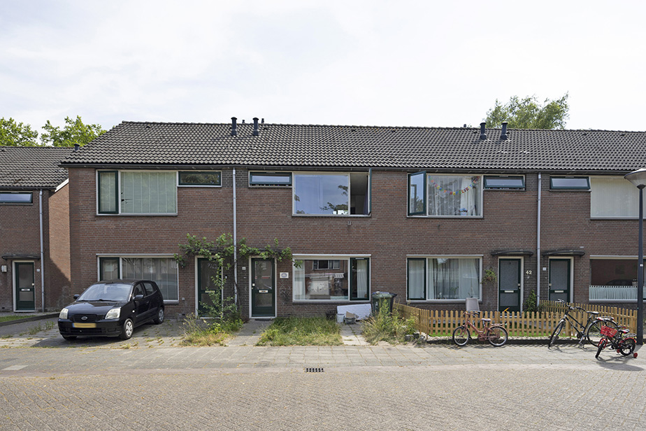 Avondster 44