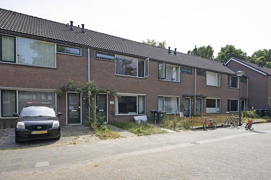 Avondster 44
