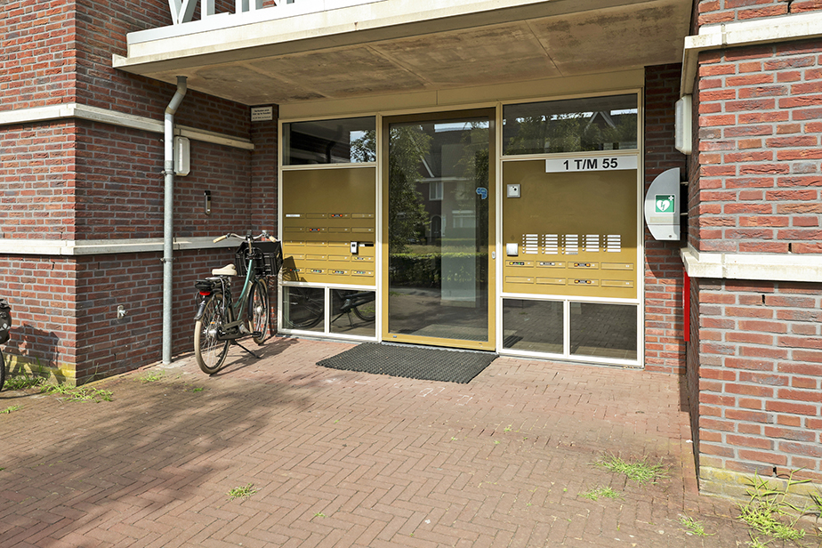 Kommavlinder 19