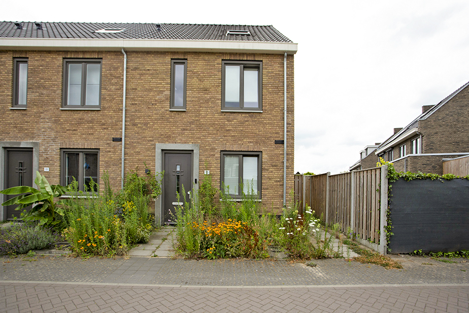 Moerbei 13, 4881 TE Zundert, Nederland