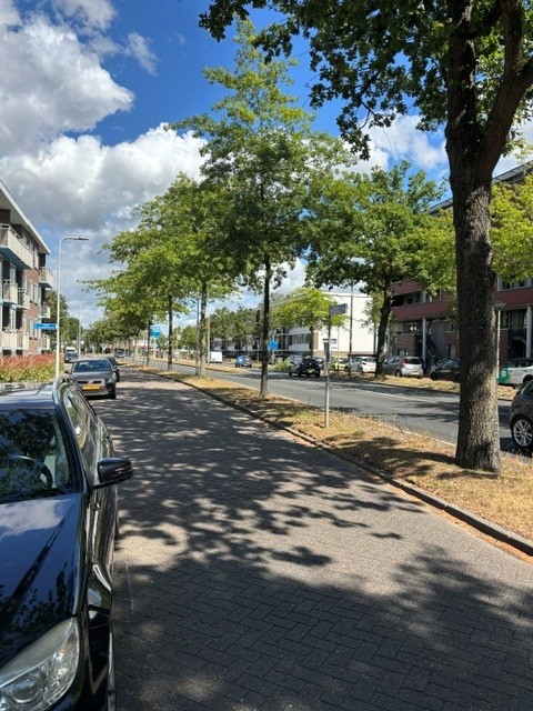 Burgemeester Freijterslaan 240