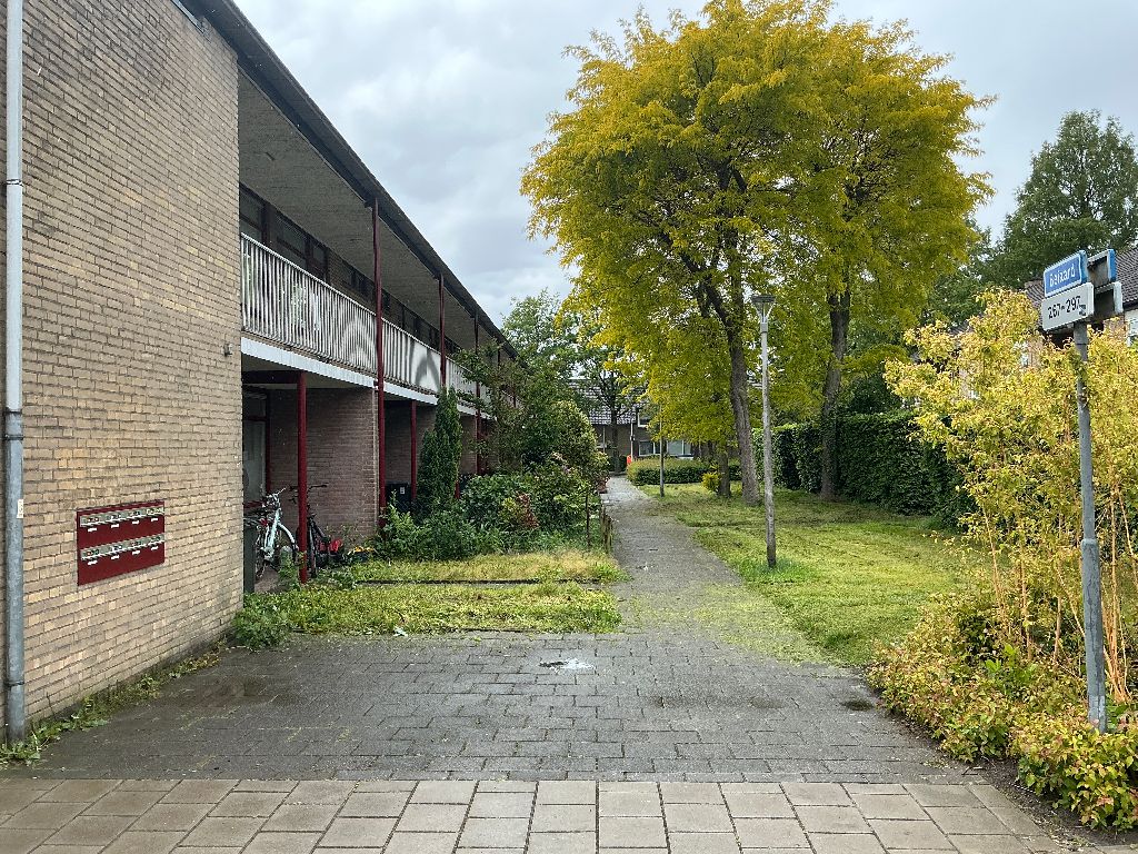 Beiaard 289