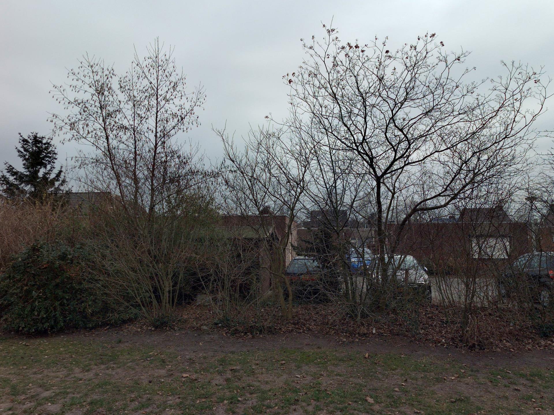 Lavadijk 74A, 4706 KT Roosendaal, Nederland
