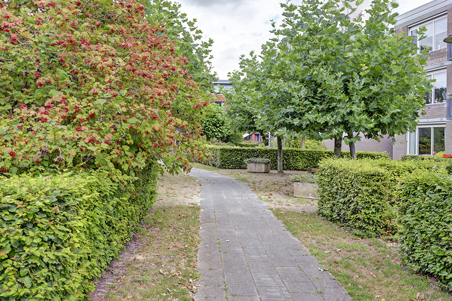 Damiaanstraat 107