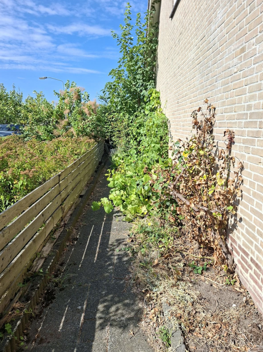 Frederik Hendrikstraat 19