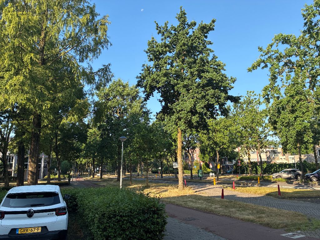 Havik 3