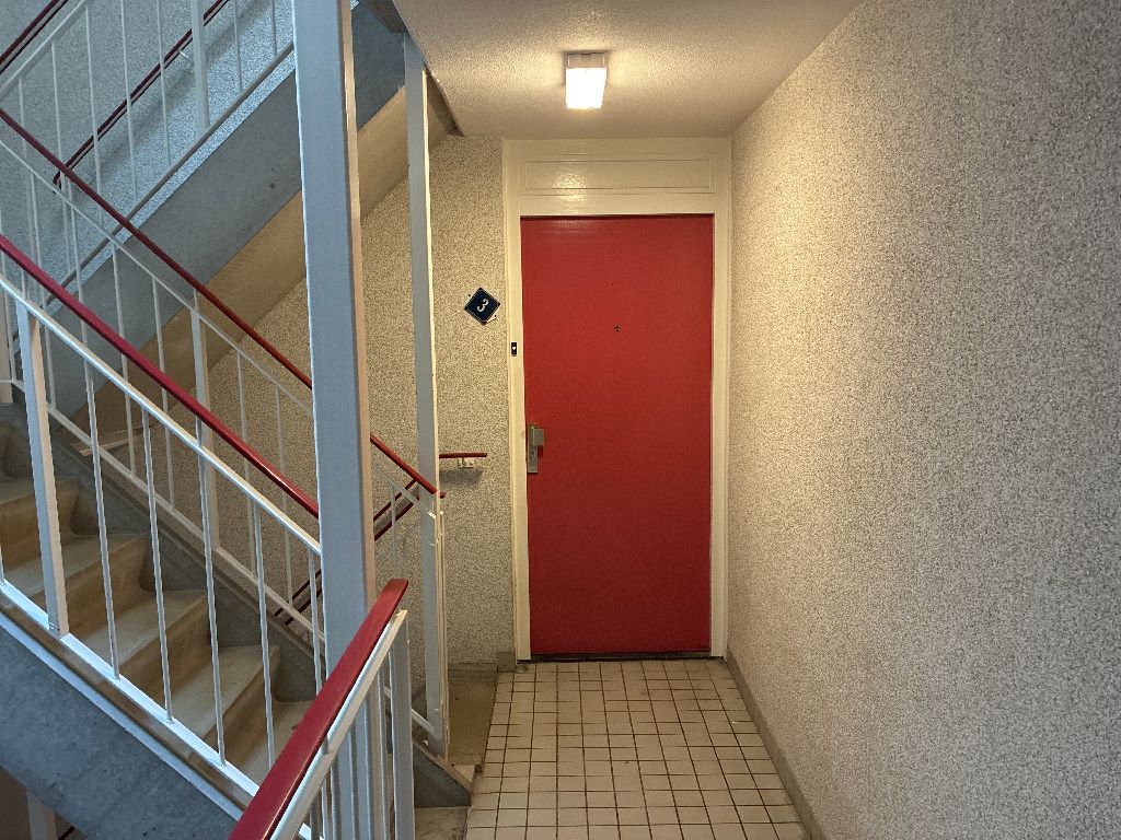 Havik 3