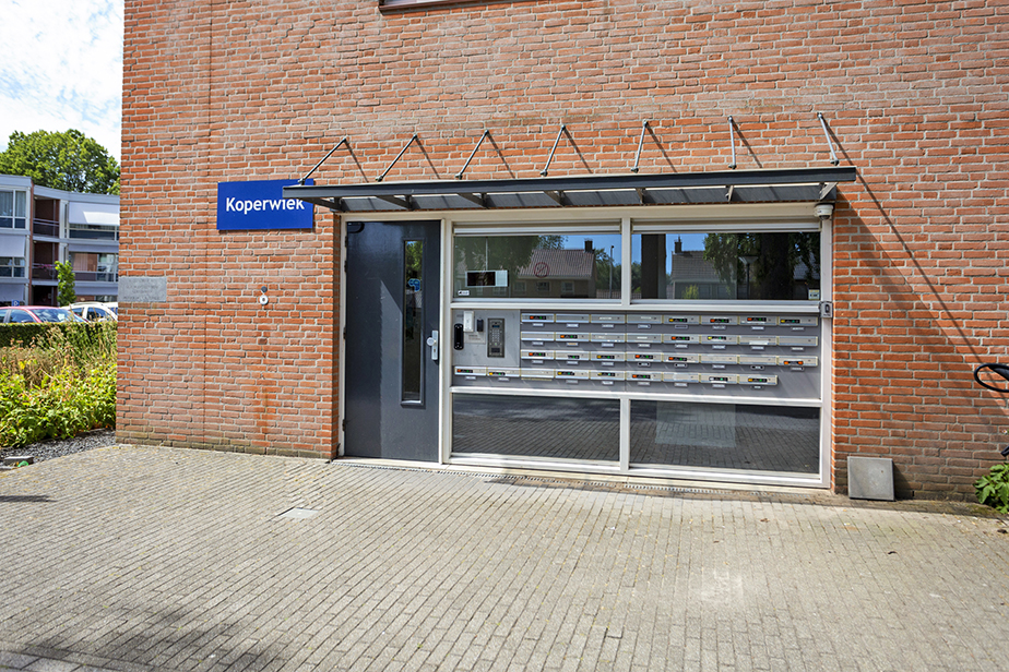 Koperwiek 39