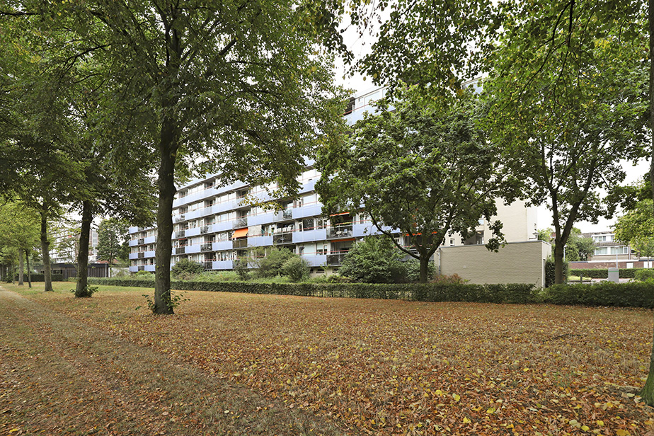 Sterrebos 89