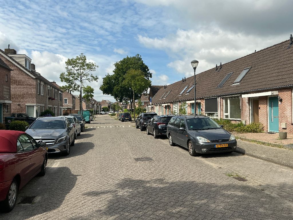 Perzikkruid 13