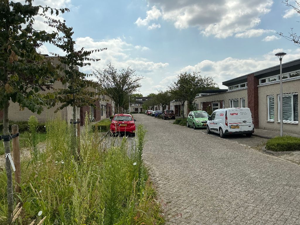 Kiel 29