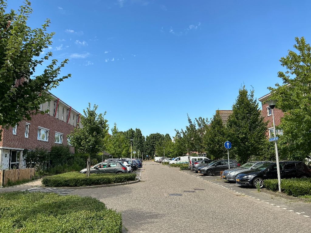 Johan de Wittlaan 30