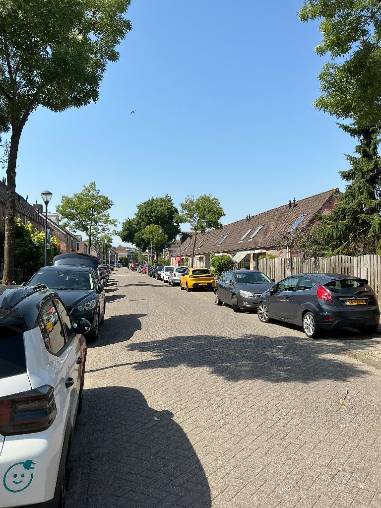 Perzikkruid 19