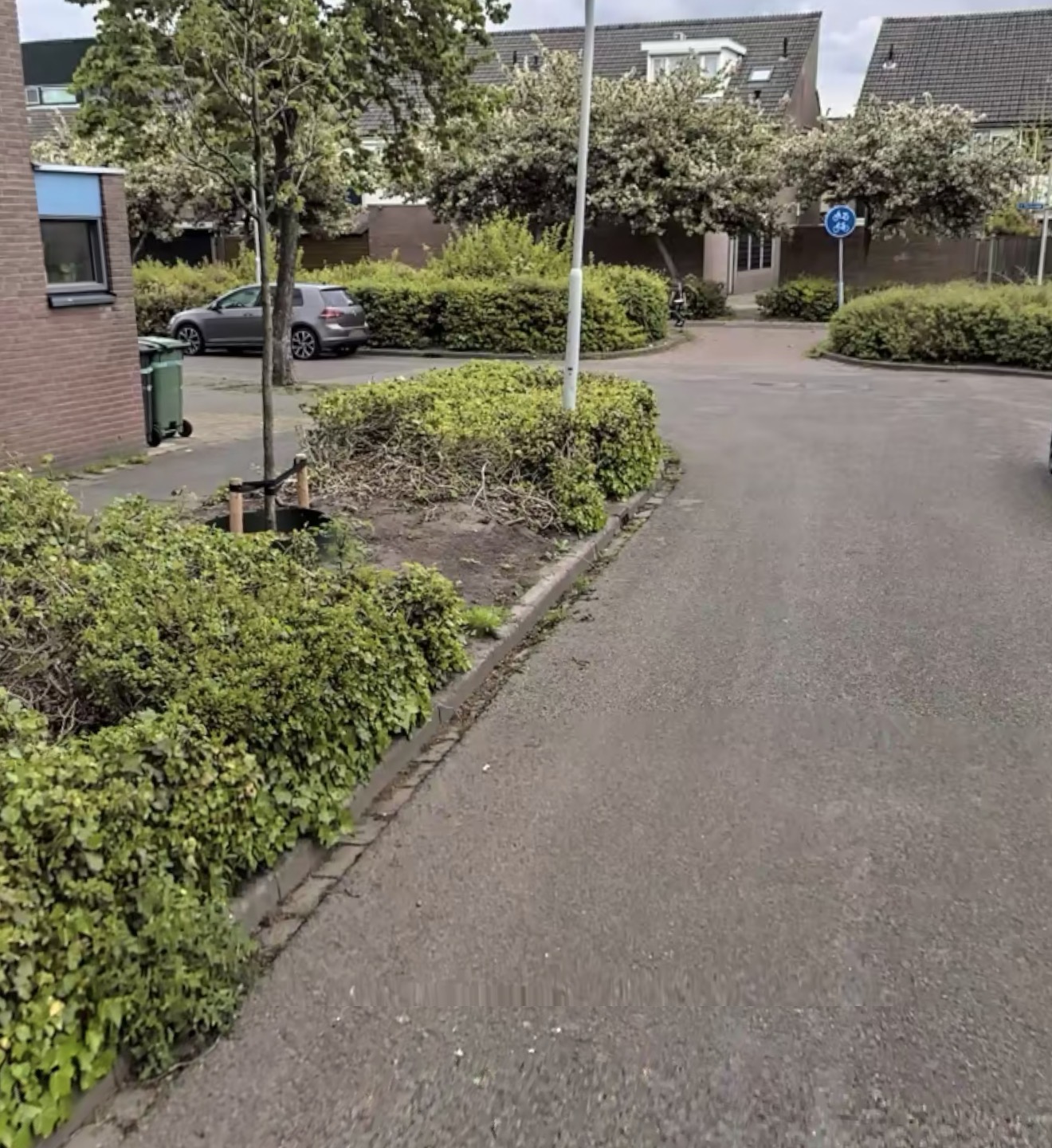 Barietdijk 115