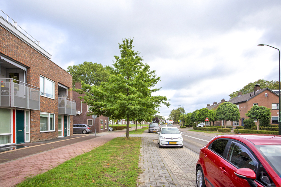 Pieter Breughelstraat 20