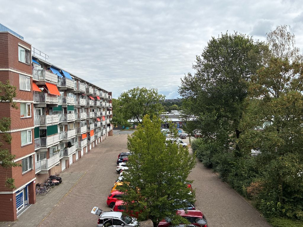 Sandenburgstraat 53