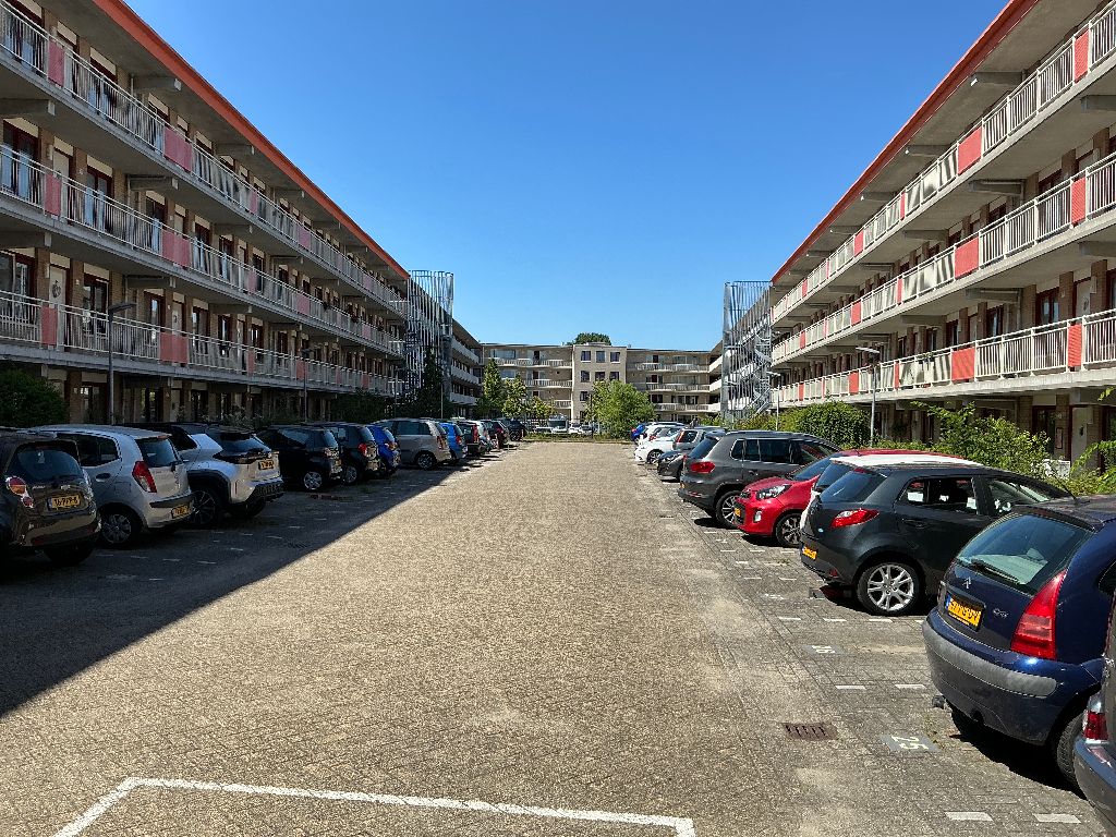 Bisonstraat 19