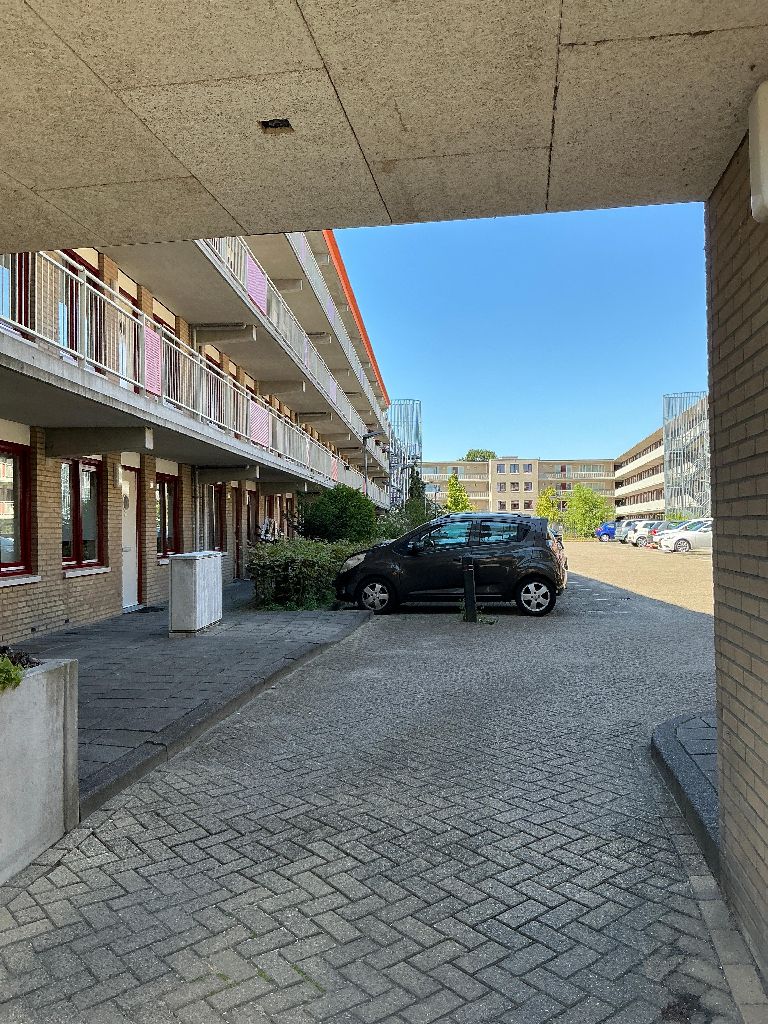 Bisonstraat 19