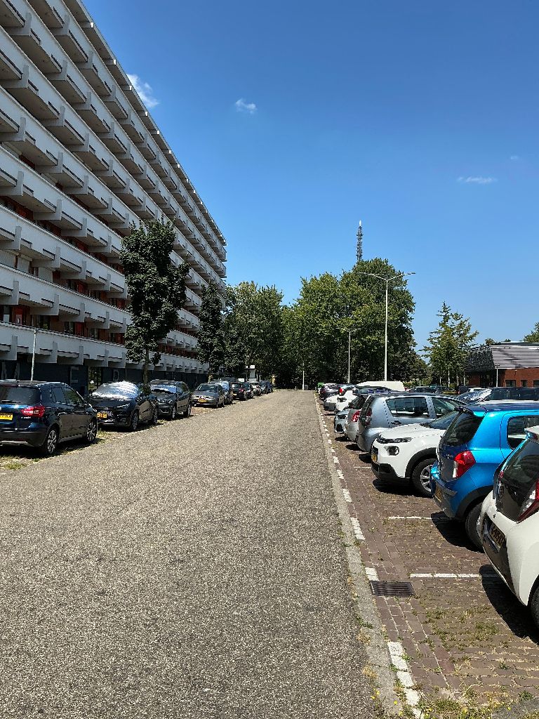 Helmersflat 49