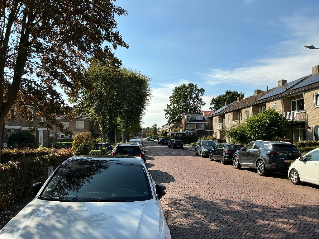 Lindenbleek 5