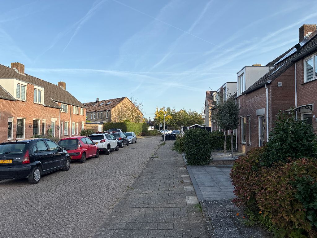 Karekiet 11