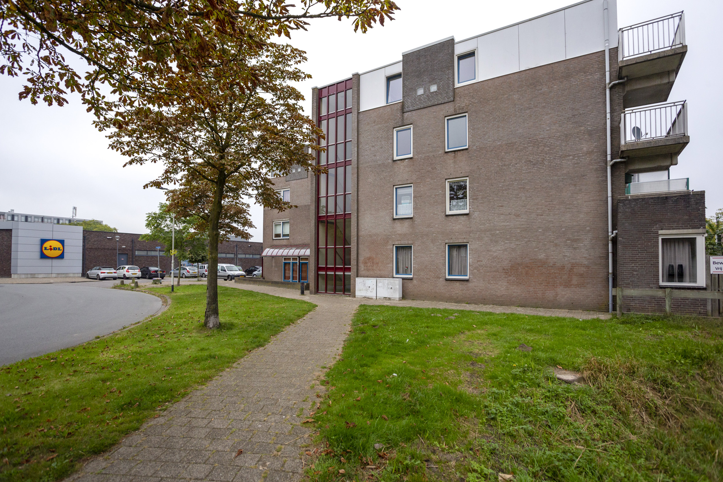 Bertelsberg 72