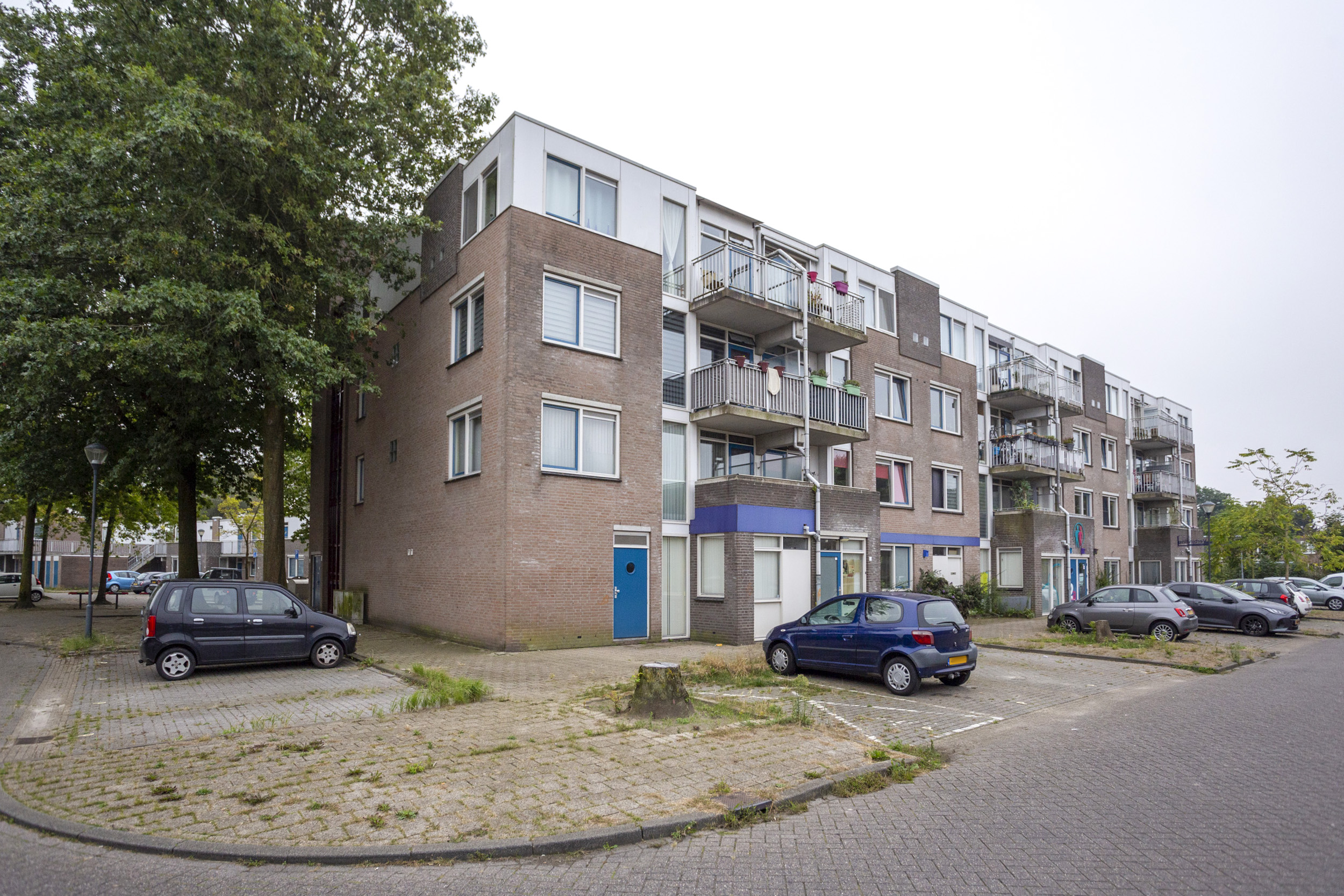 Bertelsberg 72