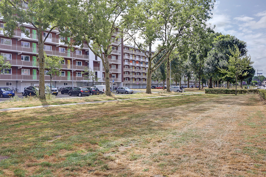 Daniël Marotstraat 70