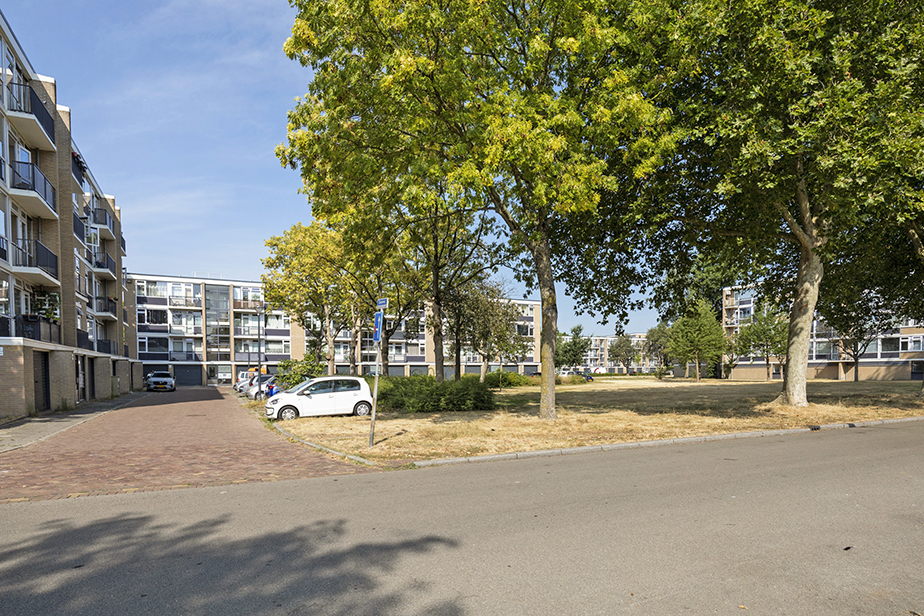 Epelenberg 79A