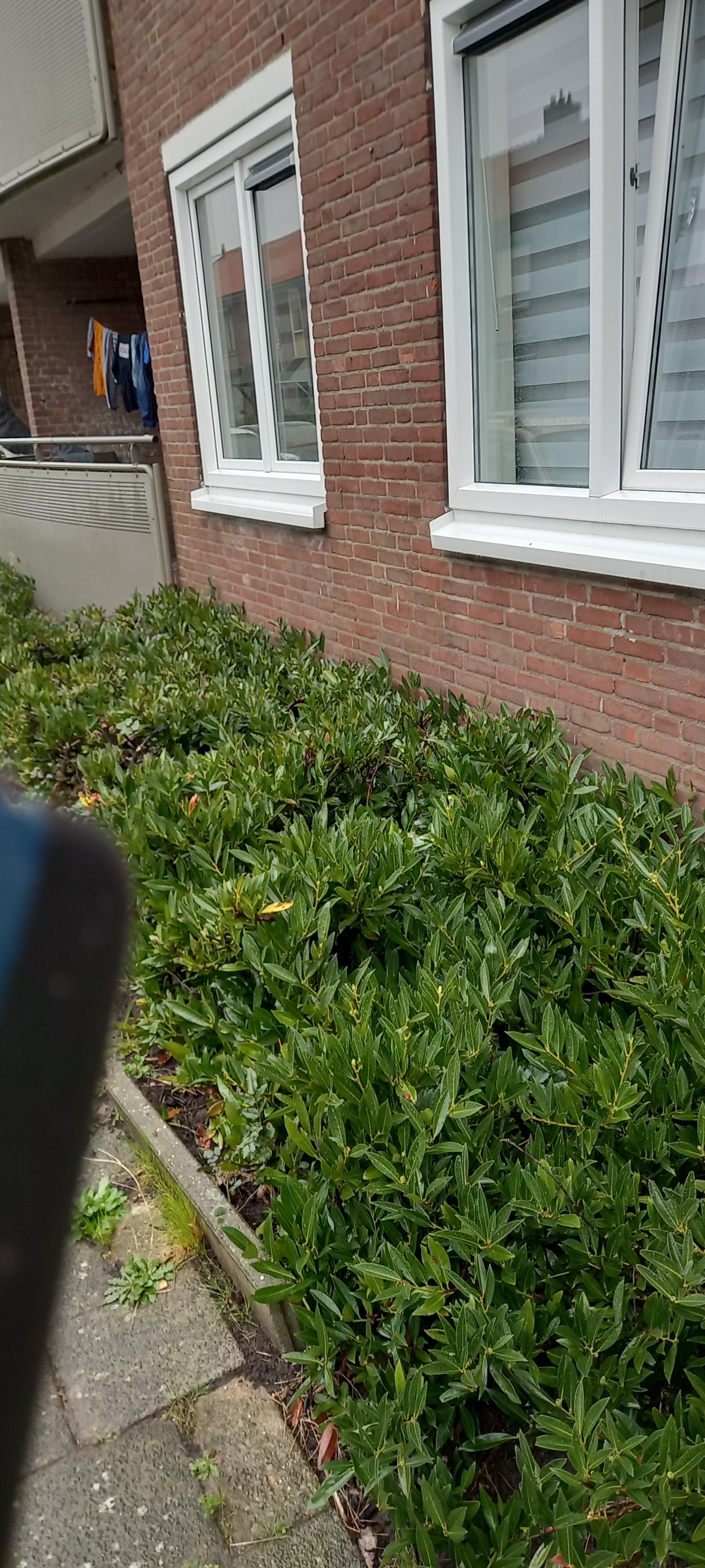 Paulus Potterstraat 9