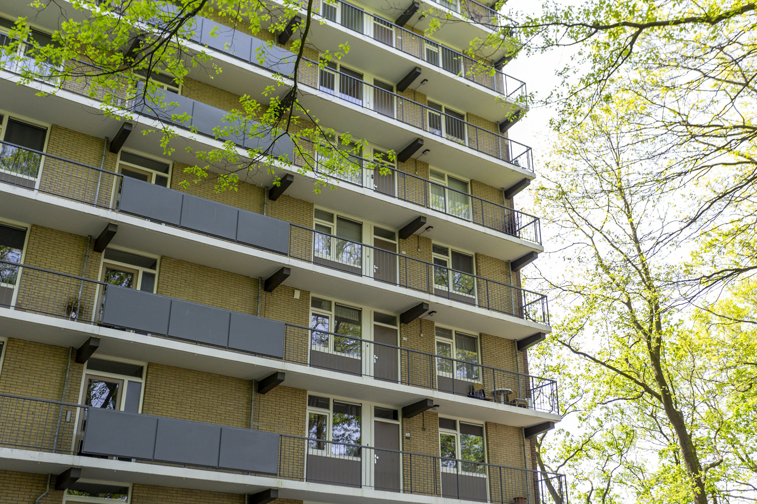 Van Leeuwenhoeklaan 150, 4904 KV Oosterhout, Nederland