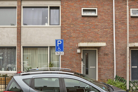Pieter Breughelstraat 11