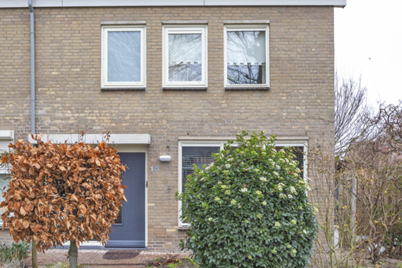Burg Van den Drieslaan 13