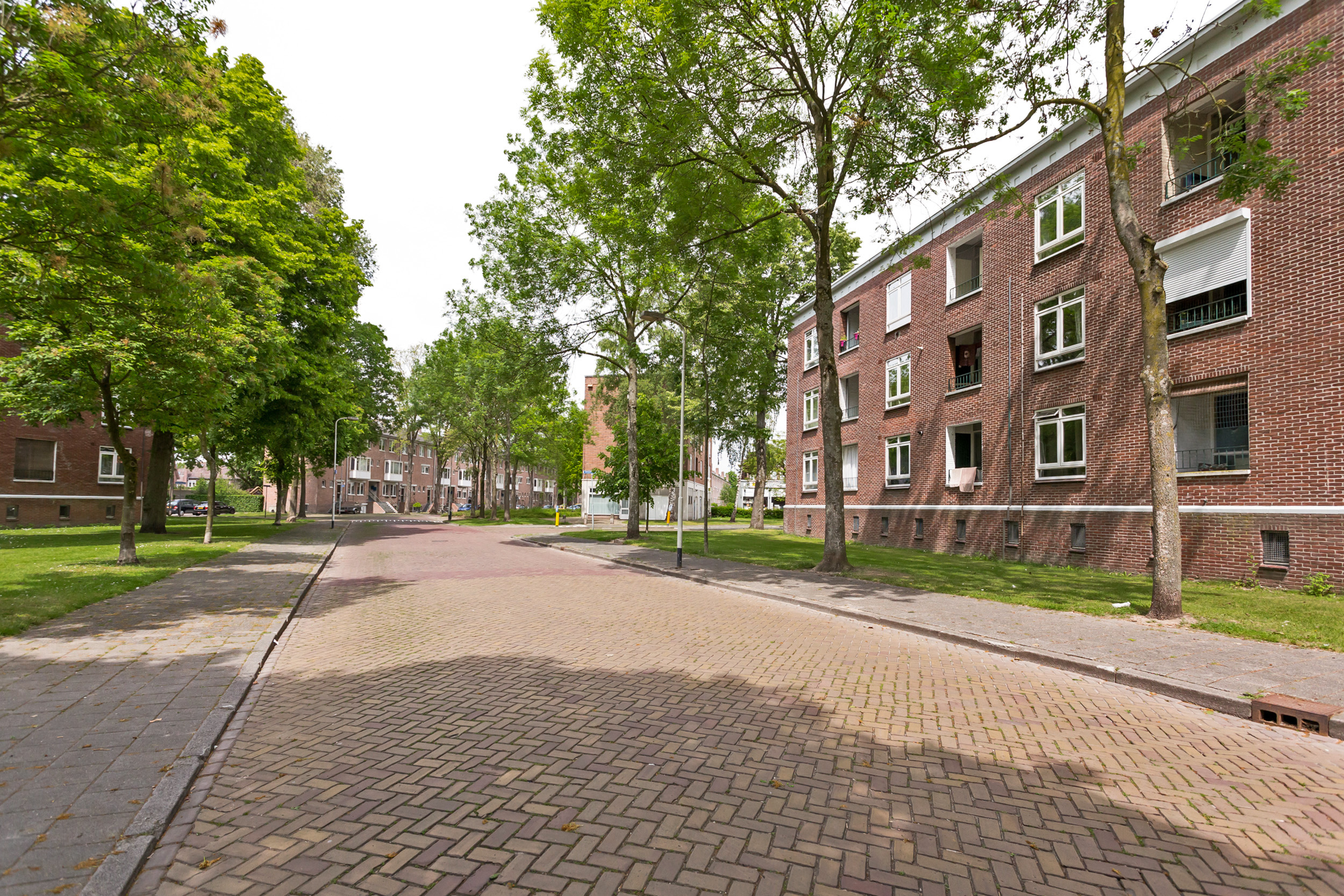 Oranjeboomstraat 351A