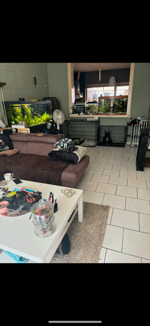 Ernst Casimirstraat 32