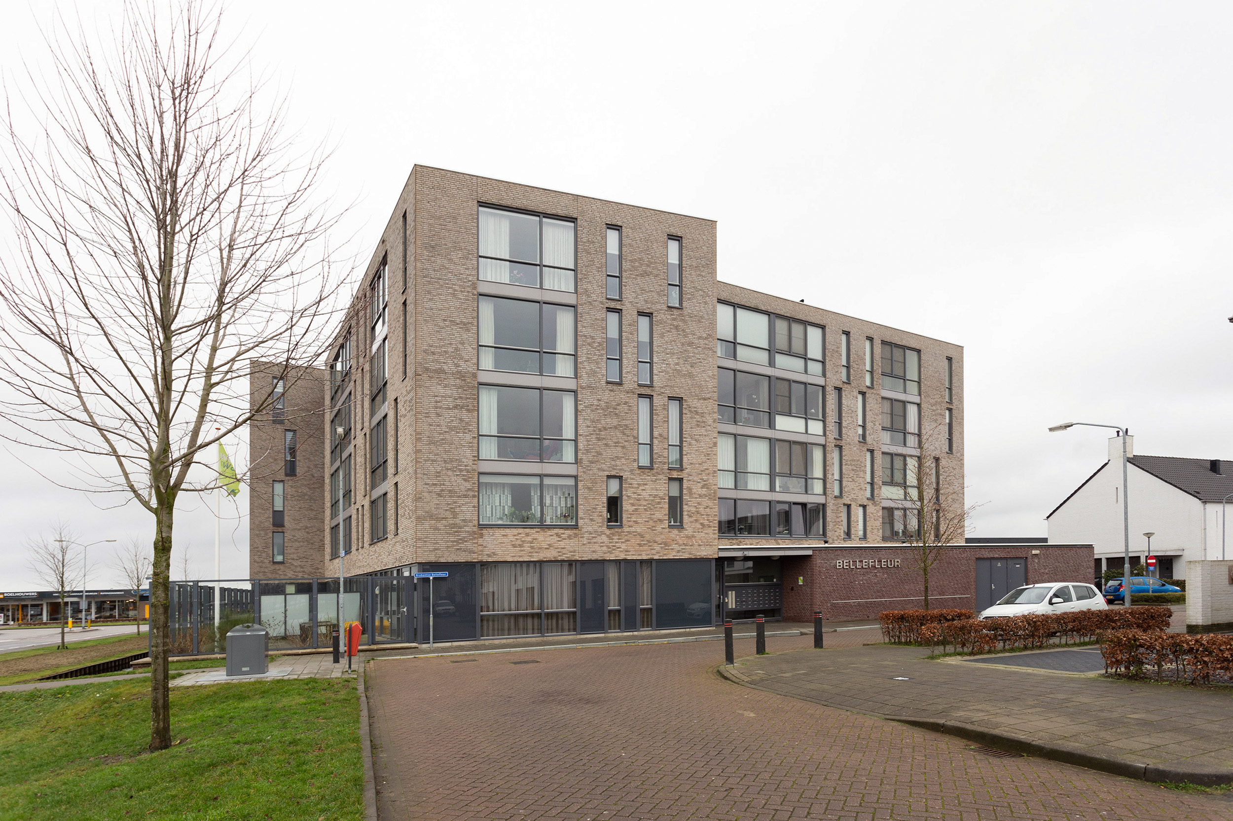 Brabantse Bellefleur 3